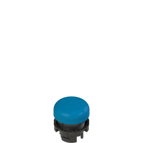 Pizzato 22mm Indicator Lens