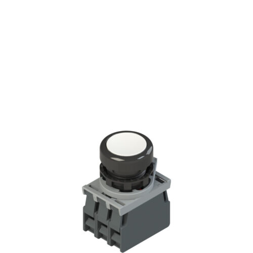 Pizzato Illuminated Flush Pushbutton – 22mm