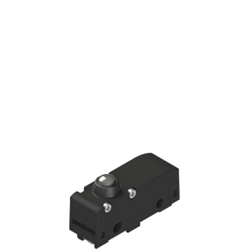 Pizzato Microswitch