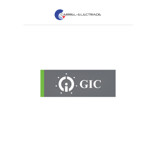 GIC Digicon Digital Timer – Multi-Voltage